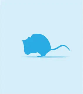 Frozen Mice | The Reptile Realm