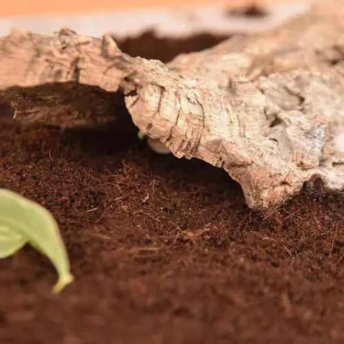 HabiStat Coir Mini Block, Fine, 350g | The Reptile Realm