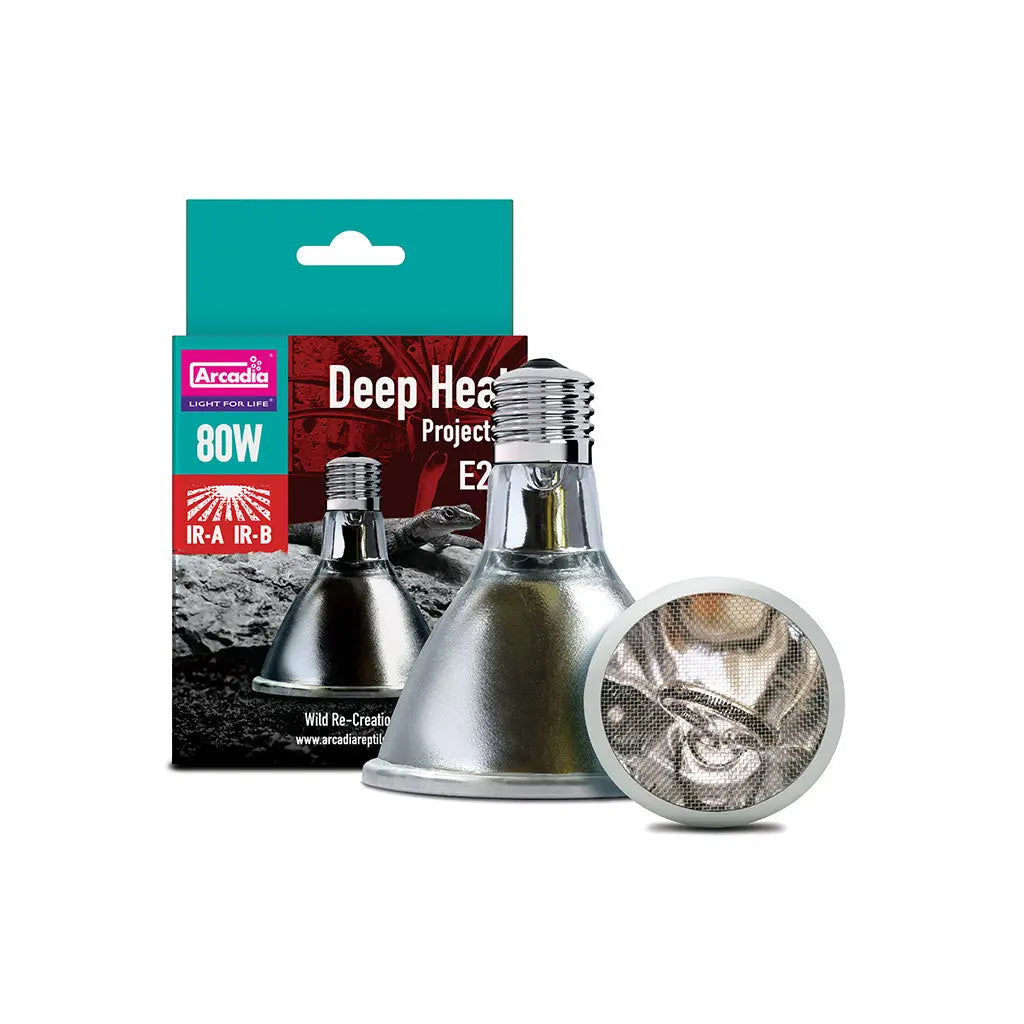 Arcadia Deep Heat Projector | The Reptile Realm