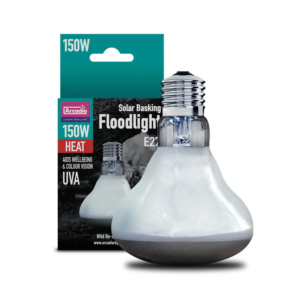 Arcadia Solar Basking Floodlight | The Reptile Realm