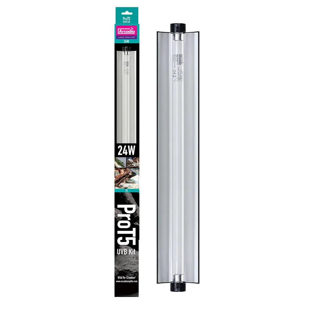 Arcadia Pro T5 UVB Kit, 24 Watt | The Reptile Realm