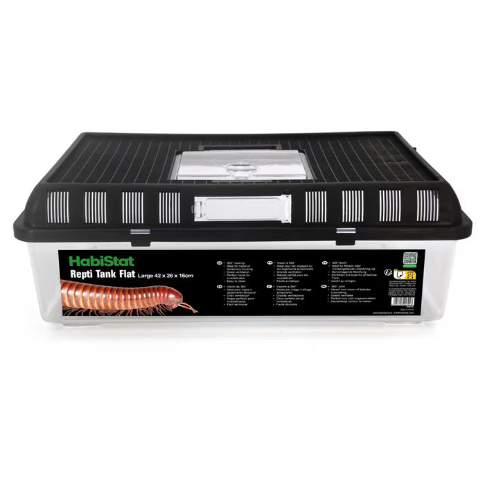 Habistat Flat Repti Tank – clear, ventilated glass terrarium for tarantulas, scorpions, beetles, and other invertebrates, ideal for breeding, display, and safe housing