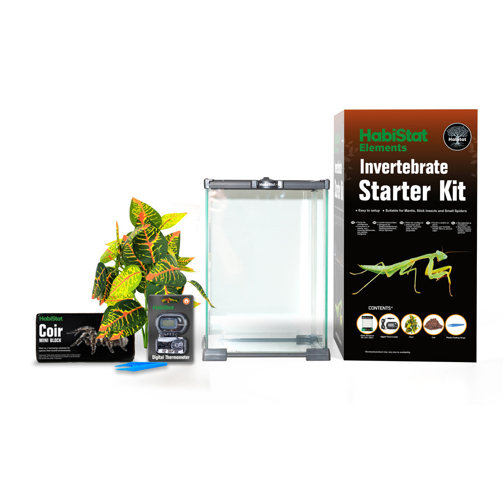HabiStat Invertebrate Starter Kit