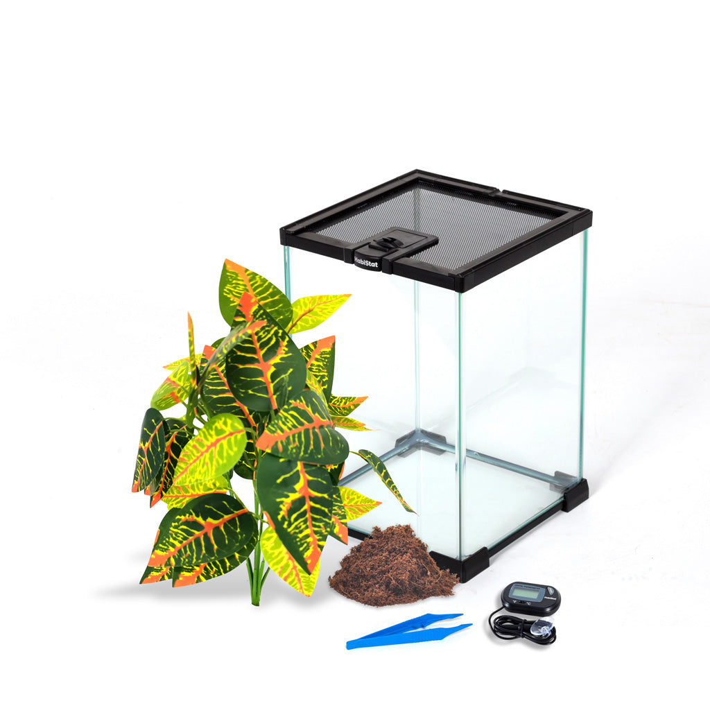 HabiStat Invertebrate Starter Kit