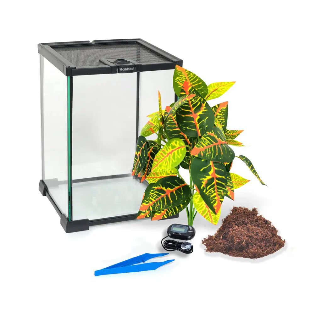 HabiStat Invertebrate Starter Kit | The Reptile Realm
